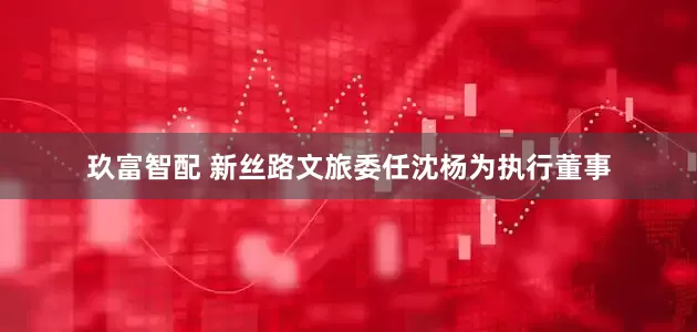 玖富智配 新丝路文旅委任沈杨为执行董事