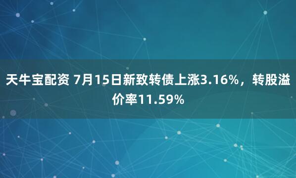 天牛宝配资 7月15日新致转债上涨3.16%，转股溢价率11.59%