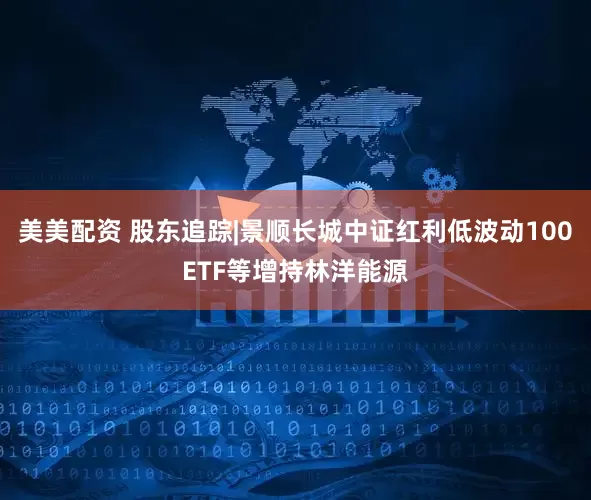 美美配资 股东追踪|景顺长城中证红利低波动100ETF等增持林洋能源