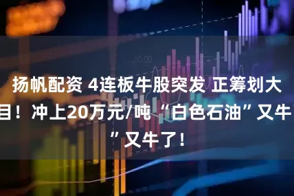 扬帆配资 4连板牛股突发 正筹划大项目！冲上20万元/吨 “白色石油”又牛了！